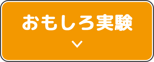 研究室公開展示